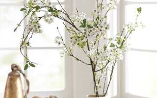 Делаем сами: Декоративные цветущие ветки
