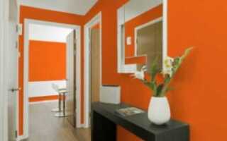 Оранжевый интерьер прихожей + фото