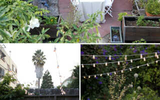 Праздник на даче: идеи декора летних вечеринок