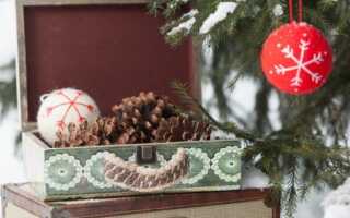 Новогодние подарки от DG HOME