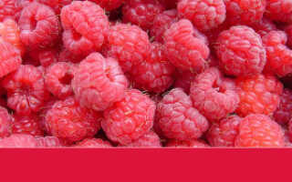 Цвет дня: Малиновый