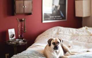 Винный цвет — хит сезона осень 2016