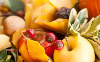 Делаем сами: осенняя композиция с дарами природы