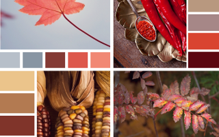 Цветотерапия и еще 3 способа справиться с осенний хандрой дома
1. Цветотерапия
2. Светотерапия
3. Ароматерапия
4.  DIY-терапия
5. Шоппинг-терапия