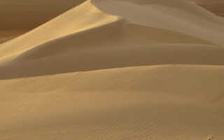 Цвет дня: Сизый