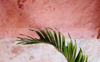 Сочетание терракотового и зеленого цвета в интерьере