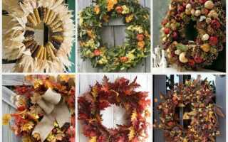 Планы на осень