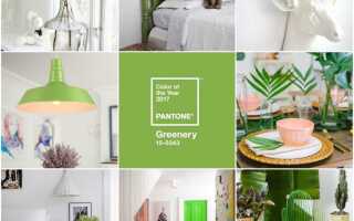 Главный цвет 2017 года по версии Pantone