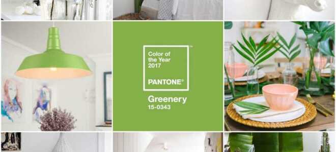 Главный цвет 2017 года по версии Pantone