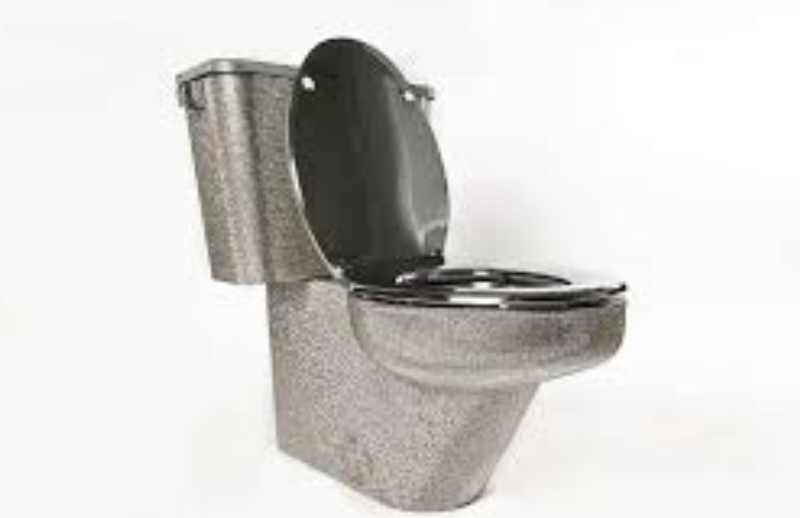 платиновый унитаз 