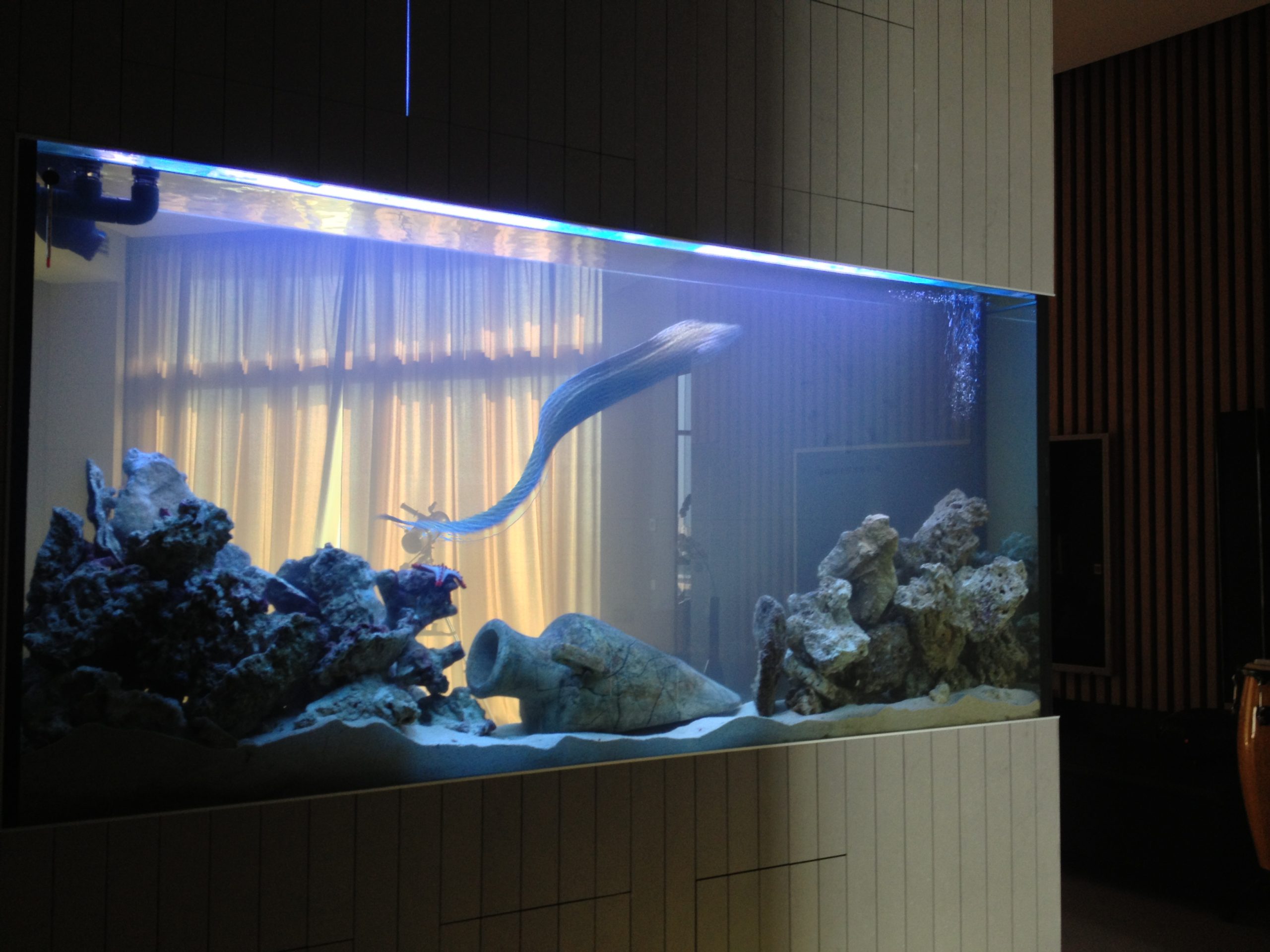 Большой аквариум в доме