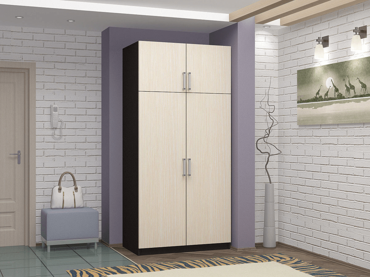 распашная система шкафов