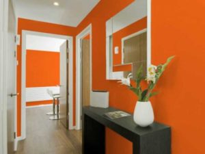 Оранжевый интерьер прихожей + фото