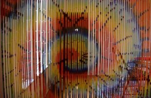 Межкомнатные деревянные шторы – стильные декорации для дизайна