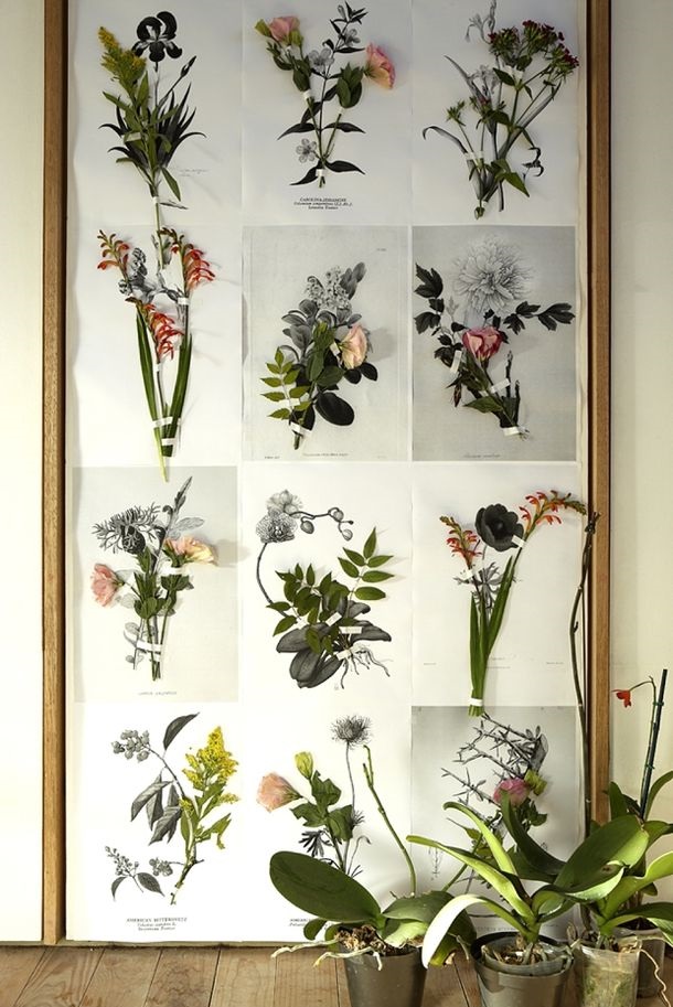 Ботанические принты в интерьере