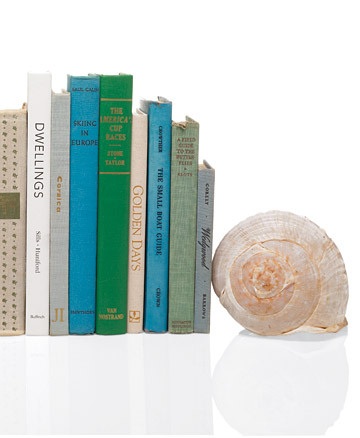 Летние идеи: декор из ракушек