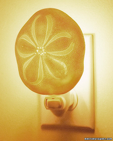 Летние идеи: декор из ракушек