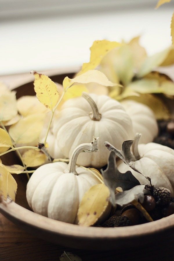 декор осенним урожаем
